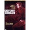 GIOVENTÙ BRUCIATA - EDIZIONE SPECIALE 2 DVD