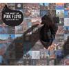 PINK FLOYD - A FOOT IN THE DOOR - THE BEST OF