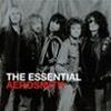 AEROSMITH - THE ESSENTIAL - 2 CD