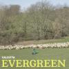 CALCUTTA - EVERGREEN ...E ALTRE CANZONI - 2 LP