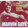 MARVIN GAYE - THAT STUBBORN KINDA FELLOW