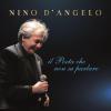 NINO D'ANGELO - IL POETA CHE NON SA PARLARE
