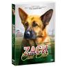 ZACK - CANE EROE