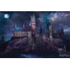 POSTER - HARRY POTTER - HOGWARTS - PP34369 - PRODOTTO UFFICIALE