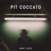 PIT COCCATO - WHAT I NEED