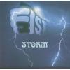FIST - STORM