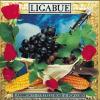 LIGABUE - LAMBRUSCO COLTELLI ROSE & POP CORN