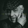 DAVIDE VAN DE SFROOS - LIVE 2022 - 2 LP