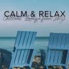 ARTISTI VARI - CALM & RELAX - CHILLOUT LOUNGE FROM IBIZA