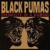 BLACK PUMAS - CHRONICLES OF A DIAMOND