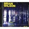 BRIAN WILSON - NO PIER PRESSURE - DELUXE