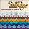 THE BEACH BOYS - THAT'S WHY GOD MADE THE RADIO