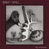 BUILT TO SPILL - YOU IN REVERSE