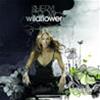 SHERYL CROW - WINDFLOWER