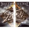 POOH - DOVE COMINCIA IL SOLE