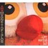 THE MAGNETIC FIELDS - LOVE AT THE BOTTOM OF THE SEA