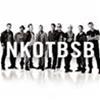 BACKSTREET BOYS / NEW KIDS ON THE BLOCK - NKOTBSB