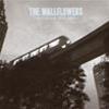 THE WALLFLOWERS - COLLECTED: 1996-2005
