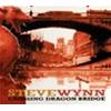 STEVE WYNN - CROSSING DRAGON BRIDGE