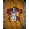 POSTER - HARRY POTTER - GRYFFINDOR FLAG - MP2034 - PRODOTTO UFFICIALE