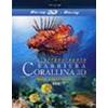 L'AFFASCINANTE BARRIERA CORALLINA 3D - PREDE E PREDATORI VOL. 3 - BLURAY 3D + BLURAY