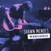 SHAWN MENDES - MTV UNPLUGGED