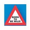 PORTACHIAVE "TRAFFIC SIGNS" - "BORN TO BE WILD"