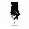 LE VIBRAZIONI - V