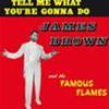 JAMES BROWN - TELL ME WHAT YOU'RE GONNA DO