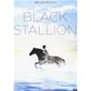 BLACK STALLION