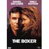 THE BOXER [IMPORT]