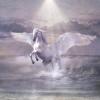 COSMO - SULLE ALI DEL CAVALLO BIANCO