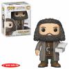 FUNKO - POP! - HARRY POTTER - RUBEUS HAGRID - VINYL FIGURE