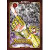 I CAVALIERI DELLO ZODIACO - SAINT SEIYA - FINAL EDITION - 9