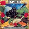 LIGABUE - LAMBRUSCO COLTELLI ROSE & POP CORN