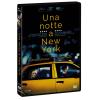 UNA NOTTE A NEW YORK