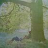 JOHN LENNON - PLASTIC ONO BAND - LP