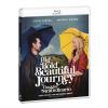 A BIG BOLD BEAUTIFUL JOURNEY - UN VIAGGIO STRAORDINARIO