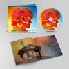 RICCARDO COCCIANTE - HO VENT'ANNI CON TE - CD
