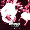 MARLENE KUNTZ - IL VILE - VINILE