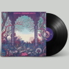 DUCK BALENO - UNIVERSAL MIRACULOUS GROWTH - LP