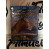 DINOSAURI