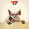 IVAN GRAZIANI - PIGRO - LP