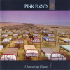 PINK FLOYD - A MOMENTARY LAPSE OF REASON - CD