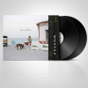 LUCIO DALLA - SONO LUCIO - 2 LP